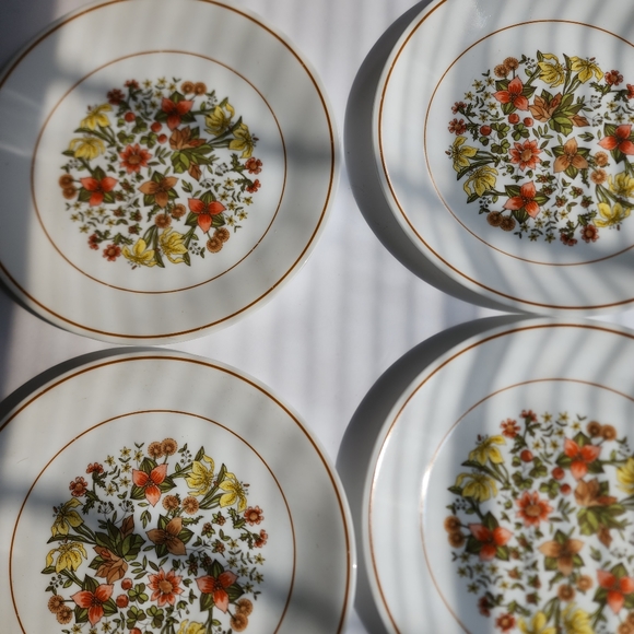 Set of (4) Corelle plates Indian Summer - Picture 10 of 10